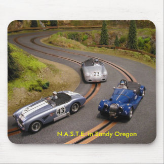 N.A.S.T.E. in Sandy Oregon Mouse Pad