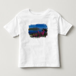 N.A., USA, Alaska, Alaska Range Common Toddler T-Shirt