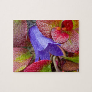 N.A., USA, Alaska. Bluebell in the tundra in Jigsaw Puzzle