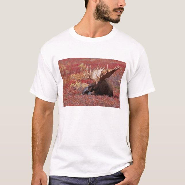 N.A., USA, Alaska, Denali National Park, Bull T-Shirt (Front)