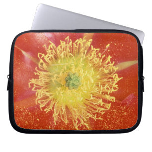 N.A., USA, Arizona, Casa Grande, NM, Desert Laptop Sleeve