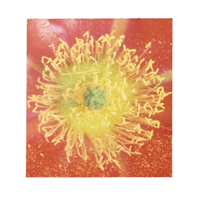 N.A., USA, Arizona, Casa Grande, NM, Desert Notepad (Front)