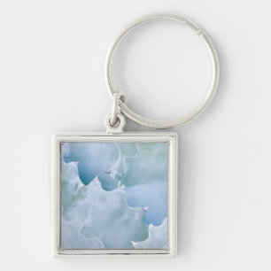 N.A., USA, Arizona, Tucson, Sonora Desert 2 Key Ring