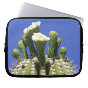 N.A., USA, Arizona, Tucson, Sonora Desert 2 Laptop Sleeve
