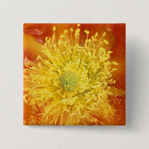 N.A., USA, Arizona, Tucson, Sonora Desert 3 15 Cm Square Badge