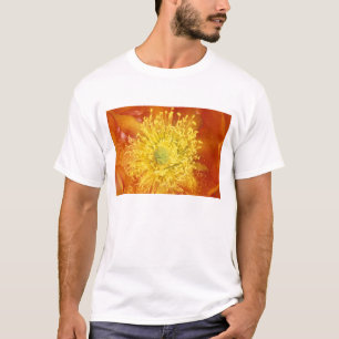 N.A., USA, Arizona, Tucson, Sonora Desert 3 T-Shirt