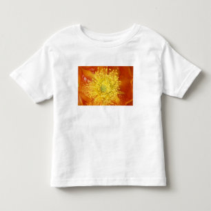 N.A., USA, Arizona, Tucson, Sonora Desert 3 Toddler T-Shirt