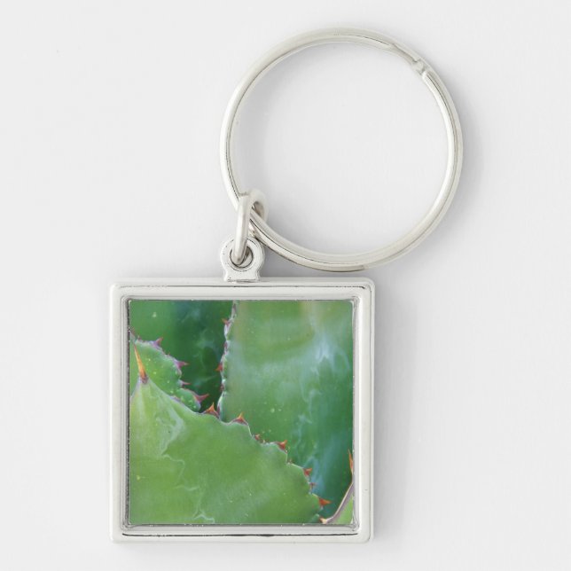 N.A., USA, Arizona, Tucson, Sonora Desert Key Ring (Front)
