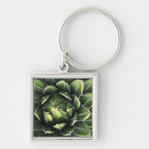 N.A., USA, Arizona, Tucson, Sonora Desert Key Ring