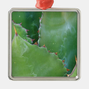 N.A., USA, Arizona, Tucson, Sonora Desert Metal Tree Decoration