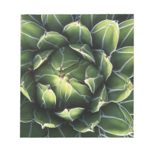 N.A., USA, Arizona, Tucson, Sonora Desert Notepad