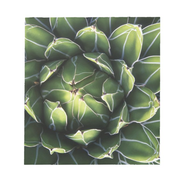 N.A., USA, Arizona, Tucson, Sonora Desert Notepad (Front)