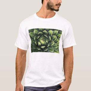 N.A., USA, Arizona, Tucson, Sonora Desert T-Shirt