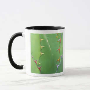 N.A., USA, AZ, Phoenix, Desert Botanical 2 Mug