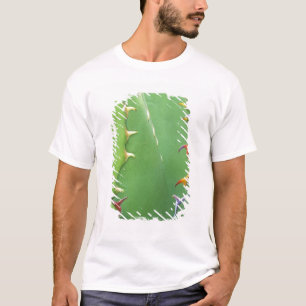 N.A., USA, AZ, Phoenix, Desert Botanical 2 T-Shirt