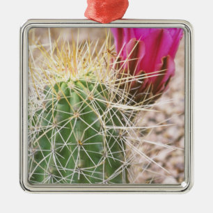 N.A., USA, AZ, Phoenix, Desert Botanical Metal Tree Decoration