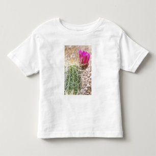 N.A., USA, AZ, Phoenix, Desert Botanical Toddler T-Shirt