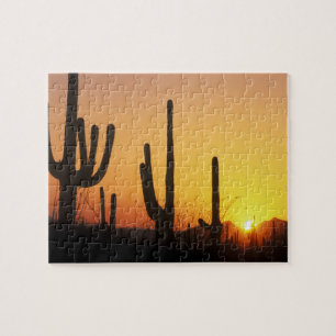 N.A., USA, AZ, Saguaro NP, Saguaro Sunset Jigsaw Puzzle