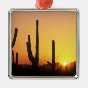 N.A., USA, AZ, Saguaro NP, Saguaro Sunset Metal Tree Decoration