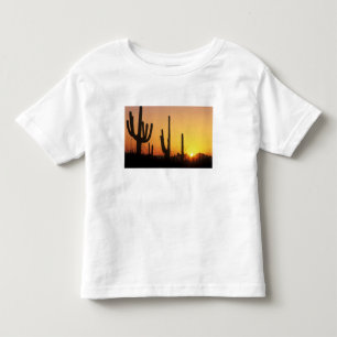 N.A., USA, AZ, Saguaro NP, Saguaro Sunset Toddler T-Shirt
