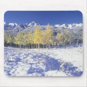 N.A., USA, Colorado, San Juan Mts Fresh snow Mouse Pad