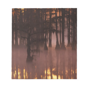 N.A., USA, Georgia, George Smith State Park. Notepad