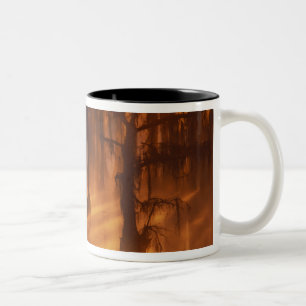 N.A., USA, Georgia, George Smith State Park. Two-Tone Coffee Mug