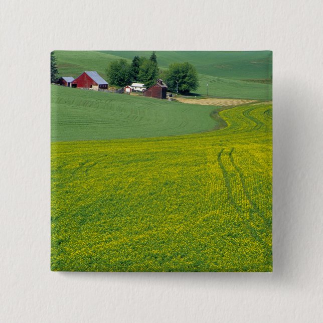 N.A., USA, Idaho, Latah County, near Genesee. 15 Cm Square Badge (Front)