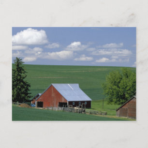 N.A., USA, Idaho, Latah county near Genesee. Postcard