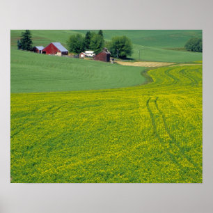 N.A., USA, Idaho, Latah County, near Genesee. Poster