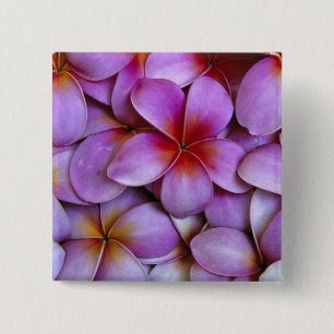 N.A., USA, Maui, Hawaii. Pink Plumeria blossoms. 15 Cm Square Badge