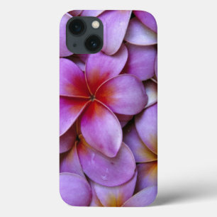 N.A., USA, Maui, Hawaii. Pink Plumeria blossoms. iPhone 13 Case