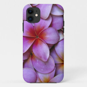 N.A., USA, Maui, Hawaii. Pink Plumeria blossoms. iPhone 11 Case