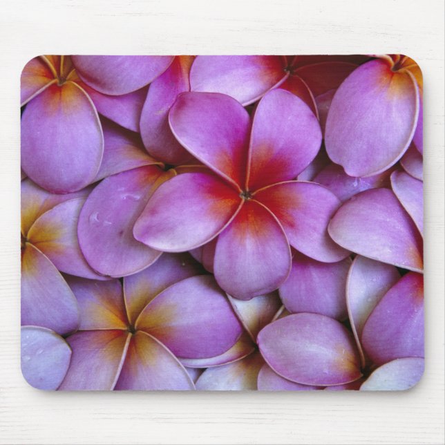 N.A., USA, Maui, Hawaii. Pink Plumeria blossoms. Mouse Pad (Front)