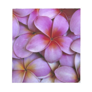 N.A., USA, Maui, Hawaii. Pink Plumeria blossoms. Notepad