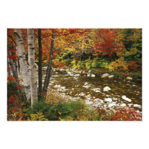 N.A., USA, New Hampshire, White Mountains, Photo Print