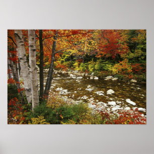 N.A., USA, New Hampshire, White Mountains, Poster