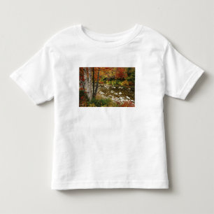 N.A., USA, New Hampshire, White Mountains, Toddler T-Shirt