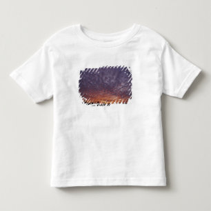 N.A., USA, New Mexico, near Las Cruces, Toddler T-Shirt