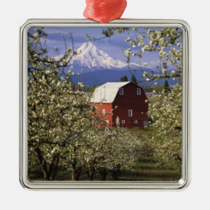 N.A., USA, Oregon, Hood River County. Red Metal Ornament