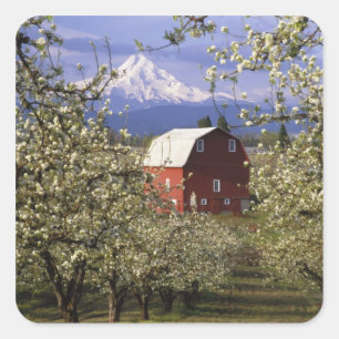 N.A., USA, Oregon, Hood River County. Red Square Sticker