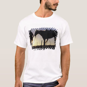 N.A., USA, Oregon, Seneca, Ponderosa Ranch, T-Shirt