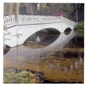 N.A., USA, South Carolina, Charleston. Magnolia Ceramic Tile