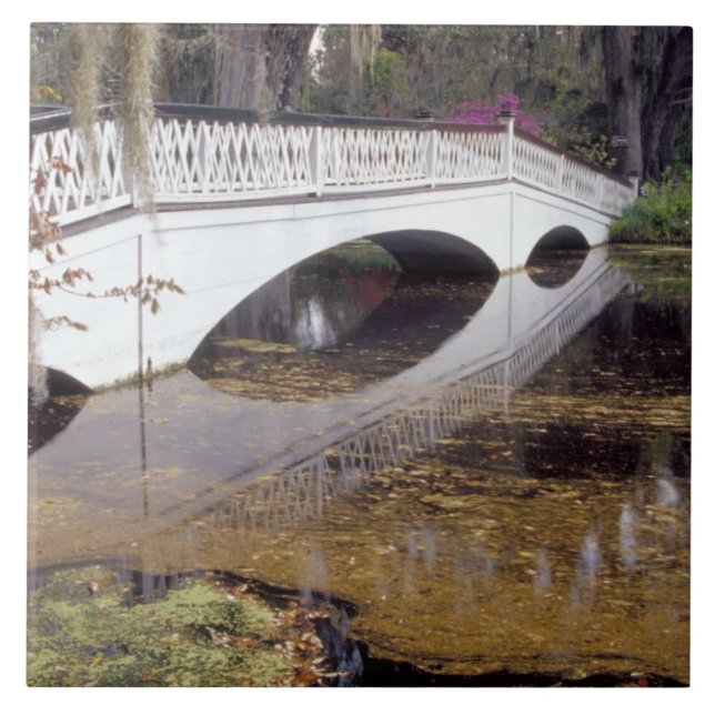 N.A., USA, South Carolina, Charleston.  Magnolia Ceramic Tile (Front)