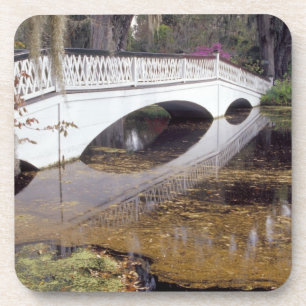 N.A., USA, South Carolina, Charleston. Magnolia Coaster