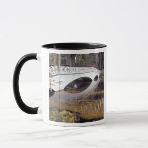 N.A., USA, South Carolina, Charleston. Magnolia Mug