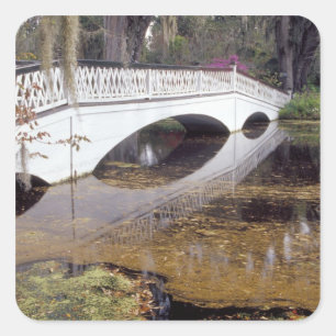 N.A., USA, South Carolina, Charleston. Magnolia Square Sticker
