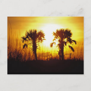 N.A., USA, South Carolina, Charleston. Sunset Postcard