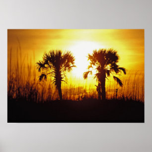 N.A., USA, South Carolina, Charleston. Sunset Poster