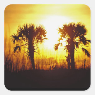 N.A., USA, South Carolina, Charleston. Sunset Square Sticker